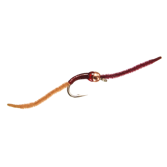 BH San Juan Worm