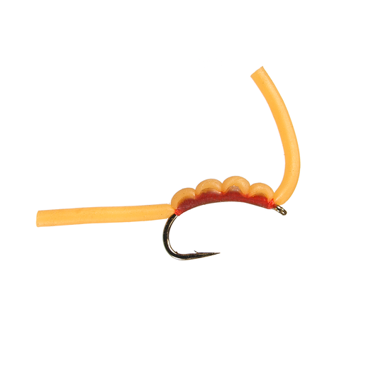 Goomie Worm