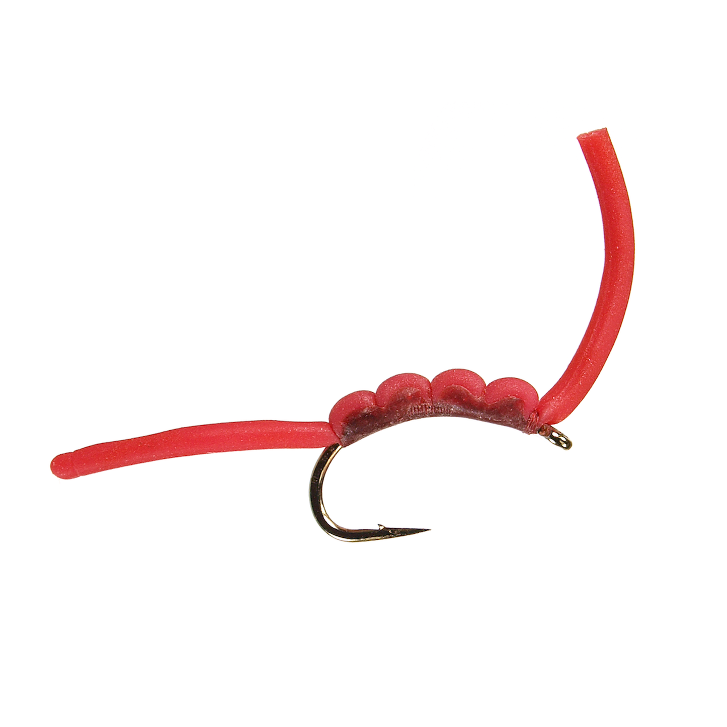 Goomie Worm