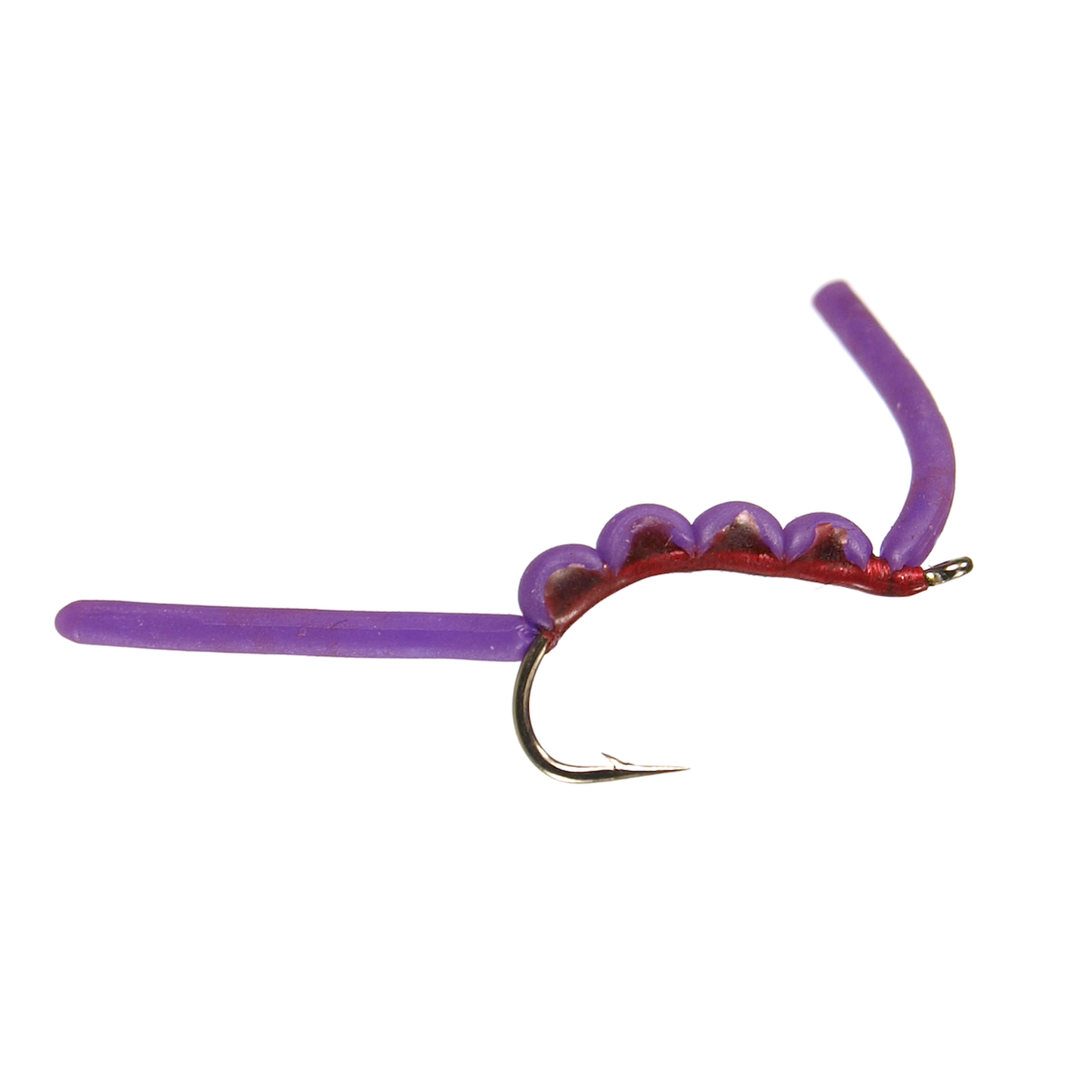 Goomie Worm