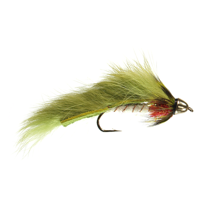 Conehead Forage Fish