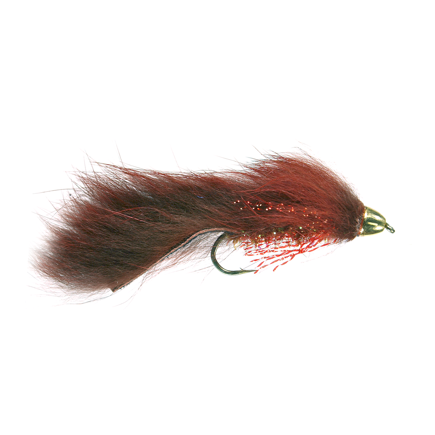 Conehead Forage Fish