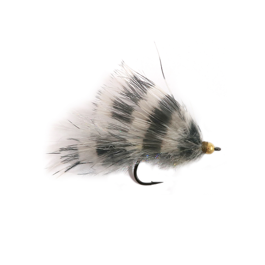 Pav's Shiner Minnow