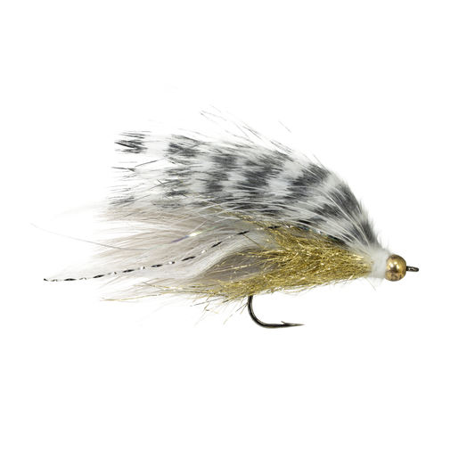 Pav's Shiner Minnow