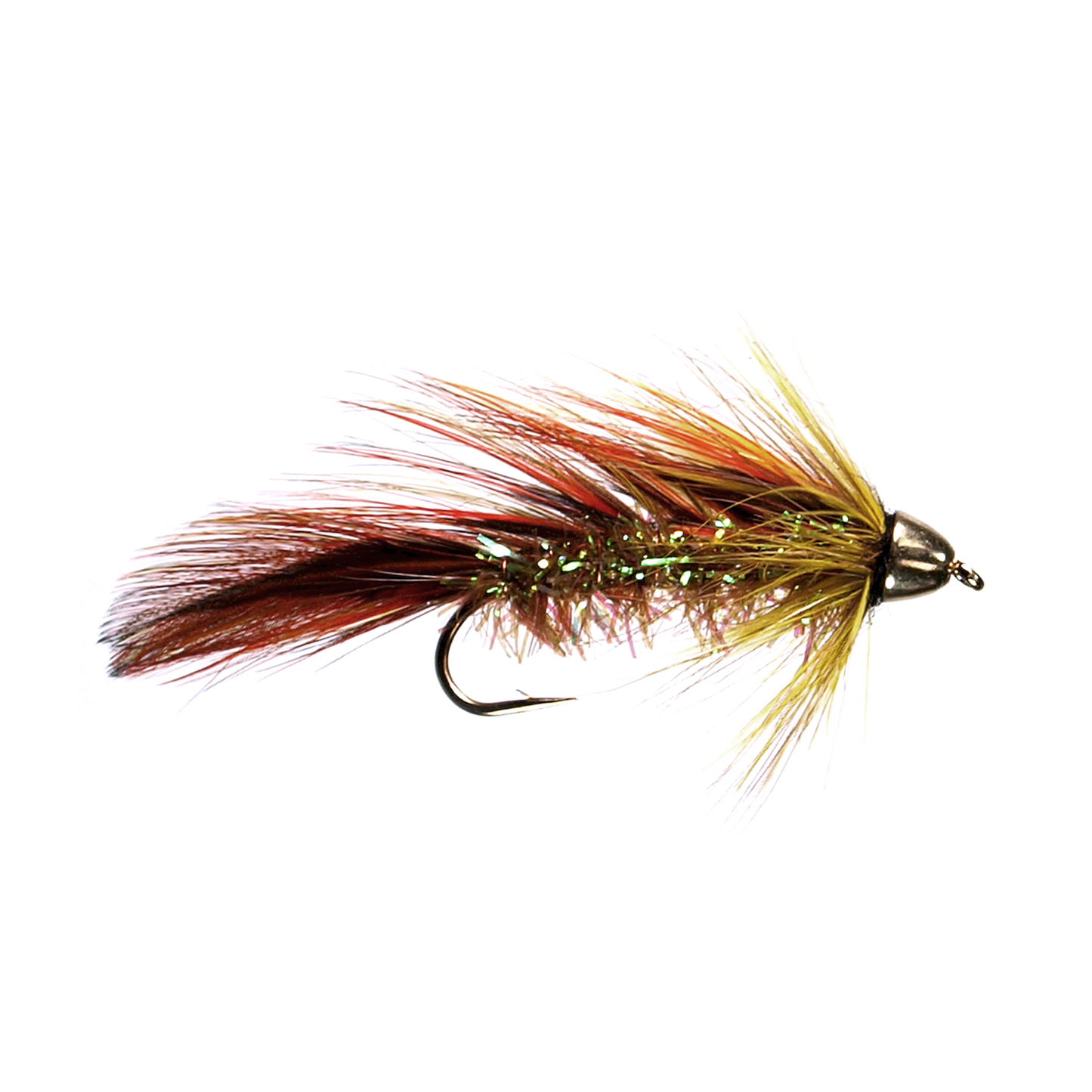 Preseason 2026 Orange Blossom Special