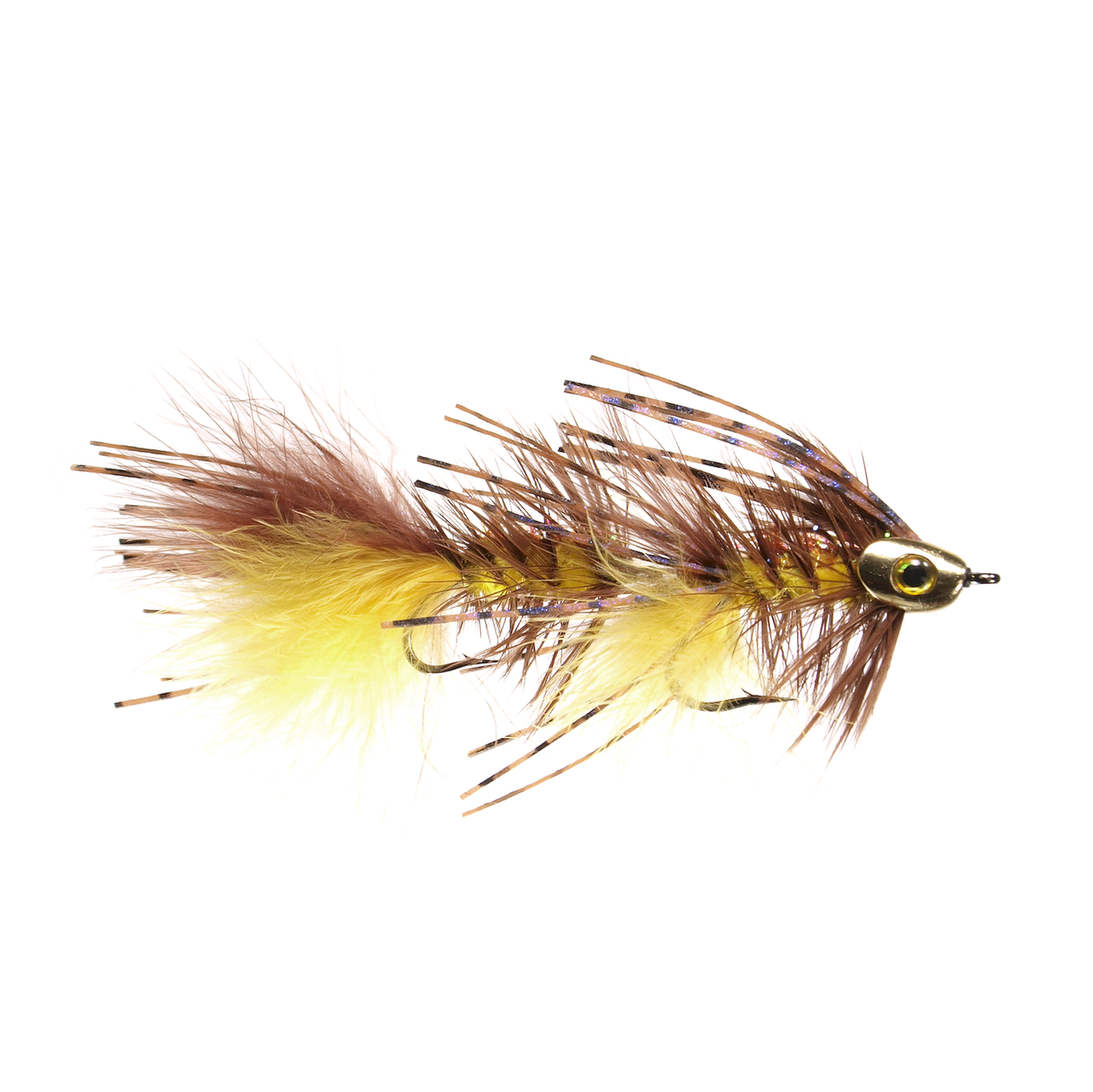 Jointed Urchin (1/2 dz)