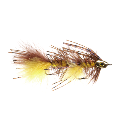 Jointed Urchin (1/2 dz)