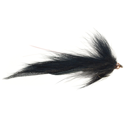 Pine Squirrel Leech