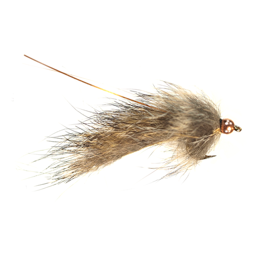 Pine Squirrel Leech