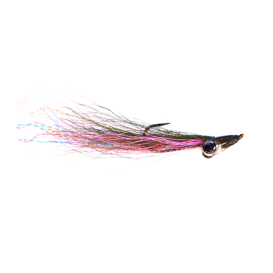 Bloom's Rainbow Minnow
