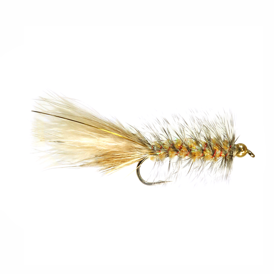 Preseason 2026 Kory's Goldfish
