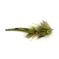Pishko's Re Loco (1/2 dz) - Olive #4