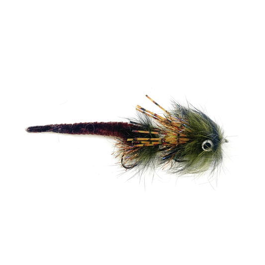 Pishko's Re Loco (1/2 dz) - Olive & Wine #4