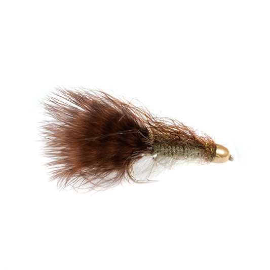 Preseason 2026 Hef's Shiny Bugger