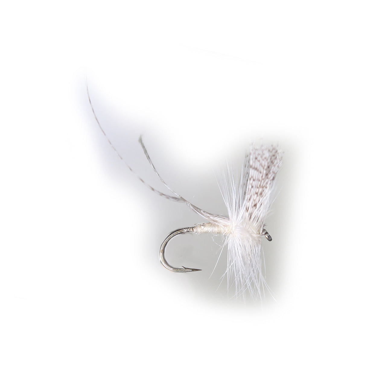 Cream Mayfly #12