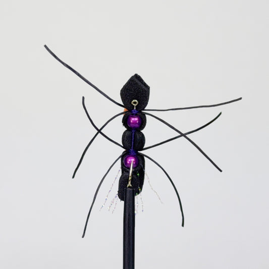 Preseason 2026 Wendling's Double Plunge