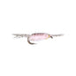 Freshwater Shrimp - Pink #16