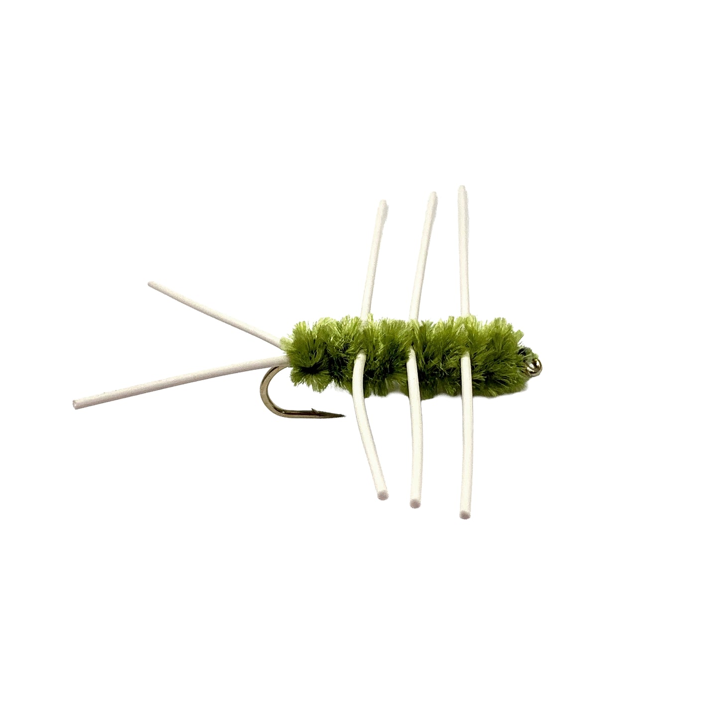 Olive Girdle Bug #12