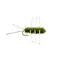 Olive Girdle Bug #12
