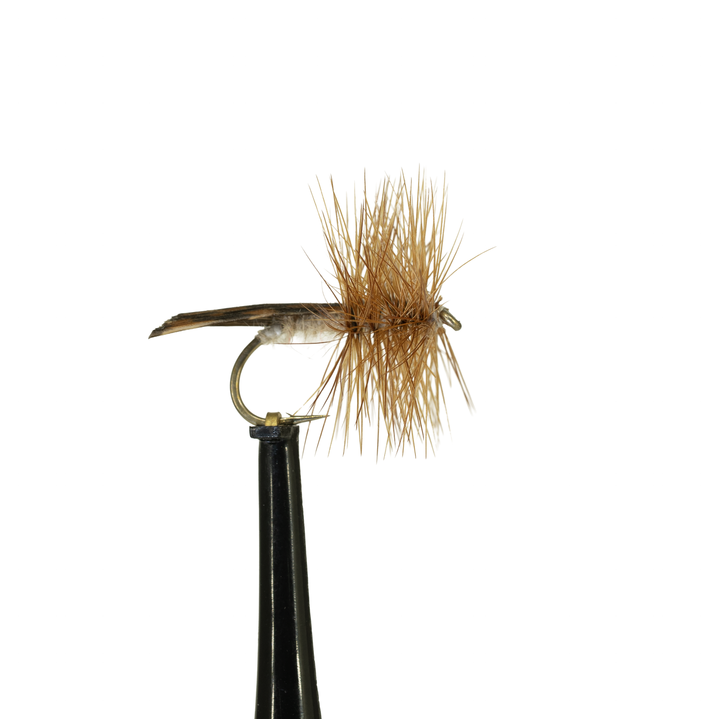 King's River Caddis