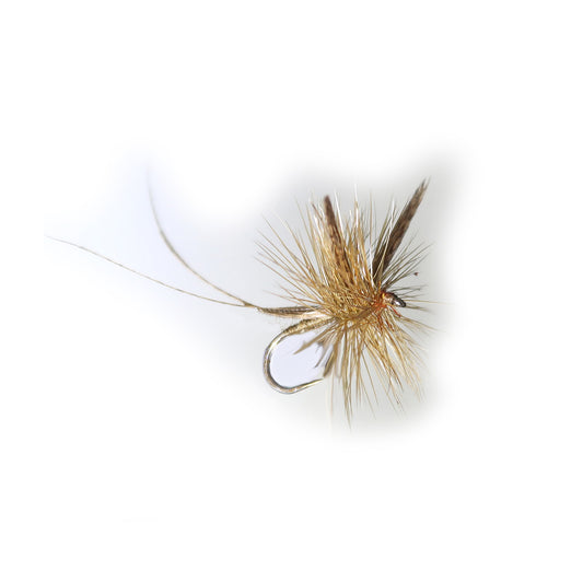 Olive Mayfly #12