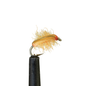 Poxyback Sowbug - Orange #18