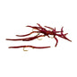 San Juan Worm - Wine #16