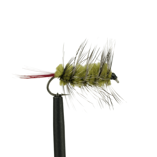 Woolly Worm - Olive / Grizzly