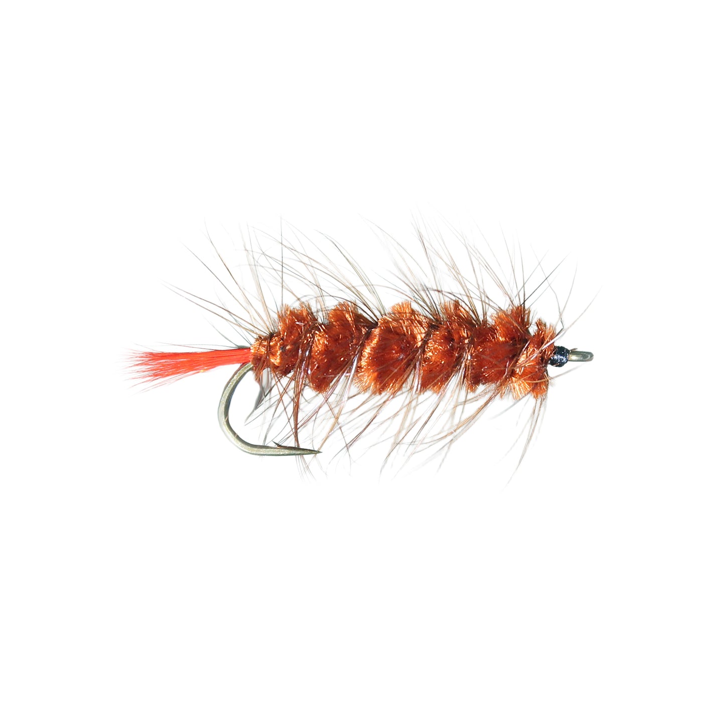 Woolly Worm - Brown