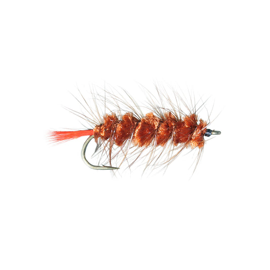 Woolly Worm - Brown