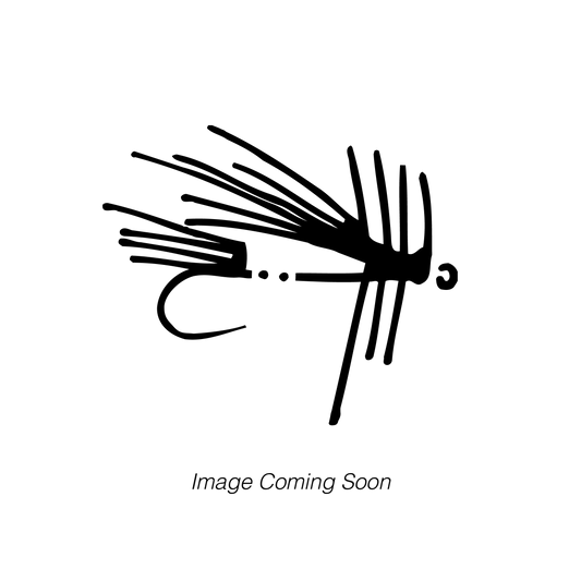 Thorax BWO
