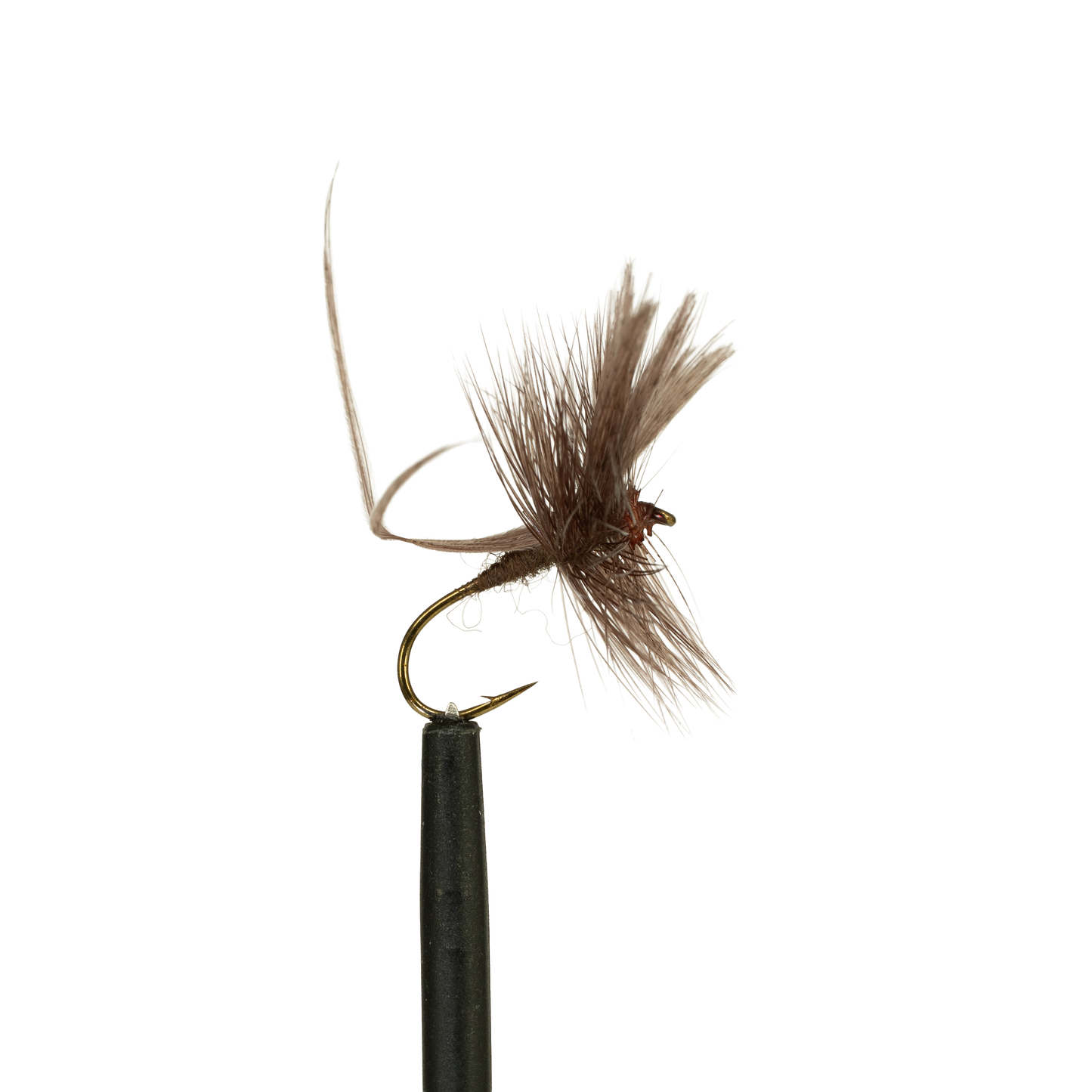 Mahogany Mayfly #12