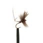 Mahogany Mayfly #12