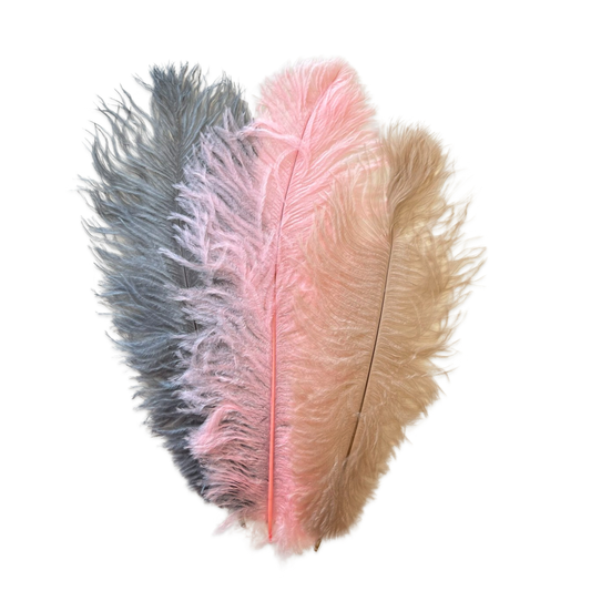 Ostrich Plumes