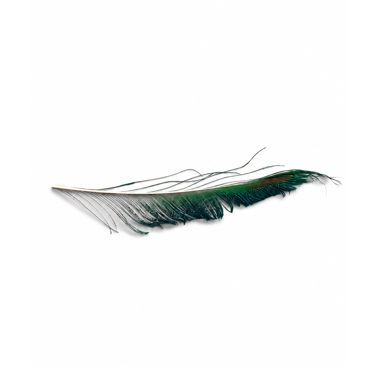 Peacock Sword